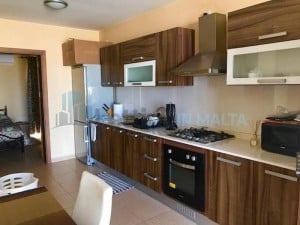 1 Bedroom Penthouse For Rent in Birzebbuga Malta