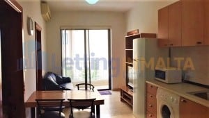 Rent Real Estate Malta Msida