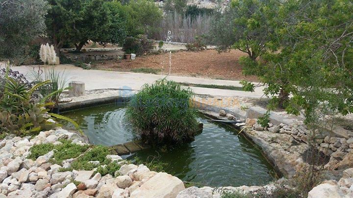 Rent Farmhouse Malta With Pool