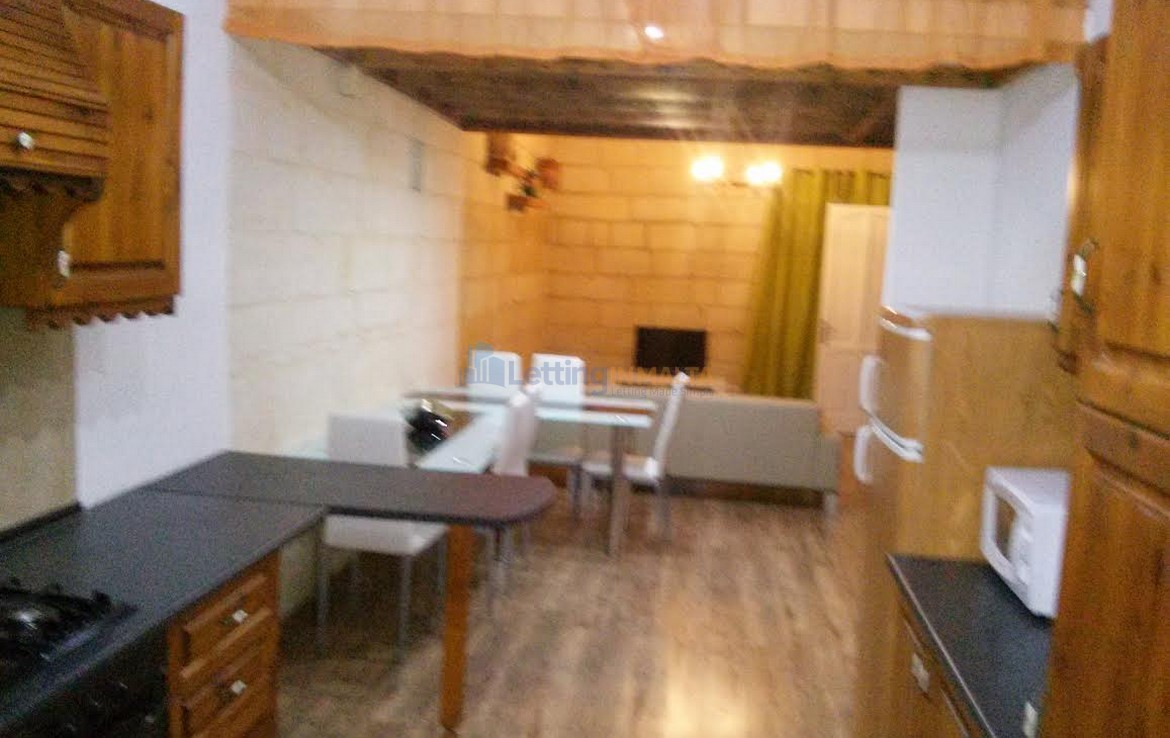 Rent 1 Bed Apartment Gzira Malta